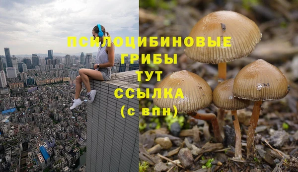 прущая мука Алексин