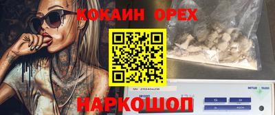 соль ск Новозыбков