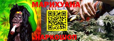 соль ск Новозыбков