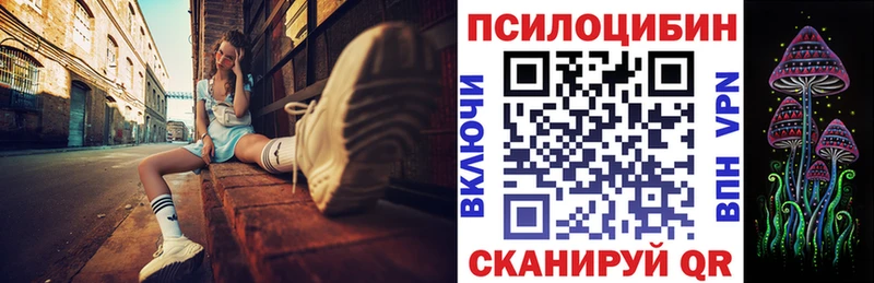 KRAKEN зеркало  Тара  Псилоцибиновые грибы ЛСД 