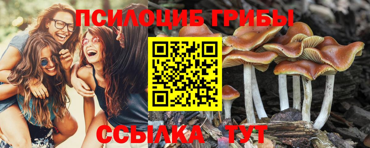 Тара  Псилоцибиновые грибы Magic Shrooms  Вход с VPN 