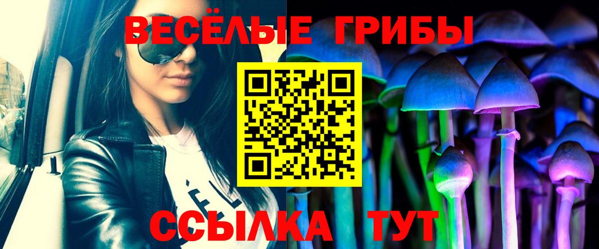 Галлюциногенные грибы Psilocybine cubensis Тара